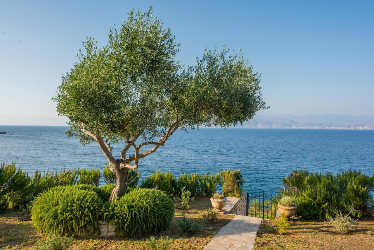 Aliki Villa *